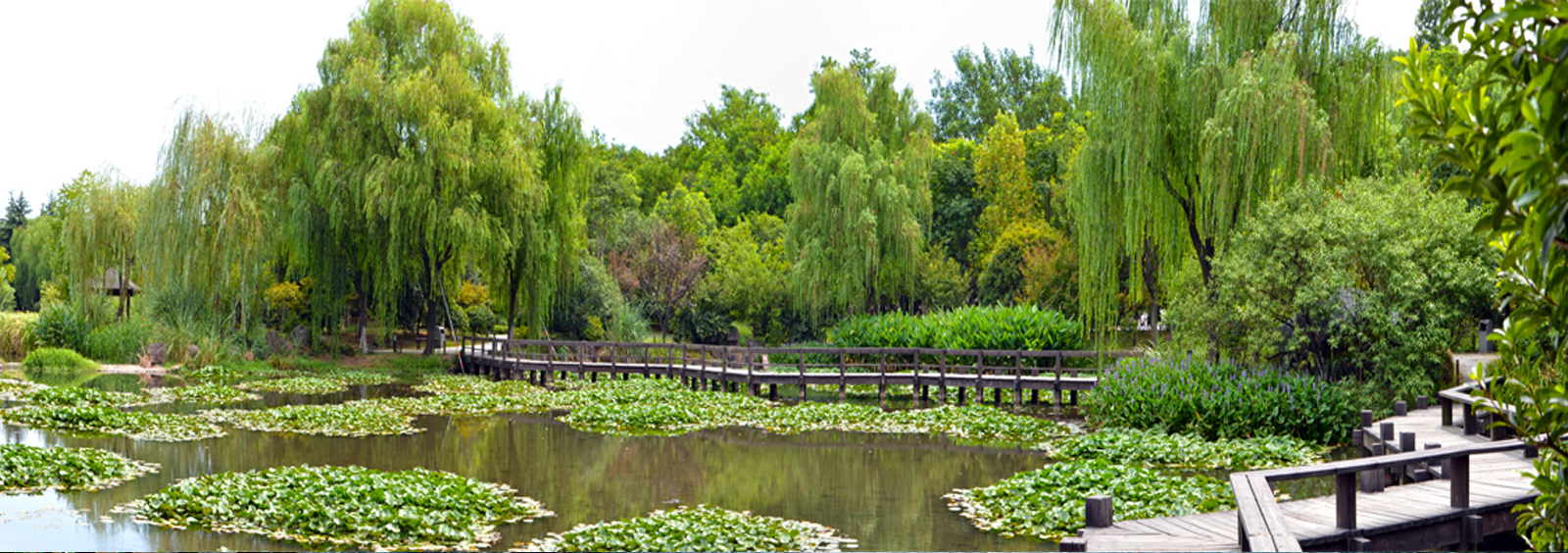 url(http://m.aokooo.com/theme/TP000163/pic/banner4.jpg)